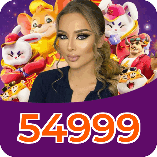 Interface 54999